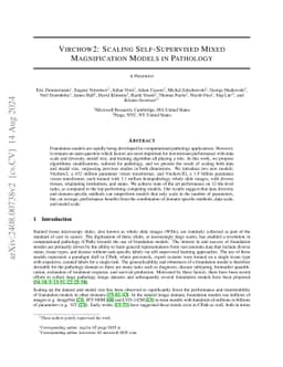 Virchow2: Scaling Self-Supervised Mixed Magnification Models in
  Pathology