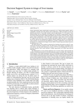 Decision Support System to triage of liver trauma
