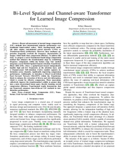 Bi-Level Spatial and Channel-aware Transformer for Learned Image
  Compression