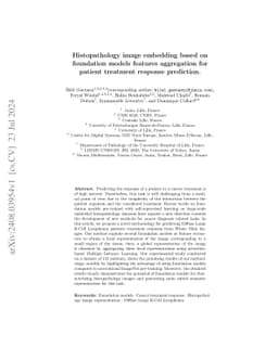 Histopathology image embedding based on foundation models features
  aggregation for patient treatment response prediction