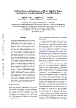 Can Rule-Based Insights Enhance LLMs for Radiology Report
  Classification? Introducing the RadPrompt Methodology