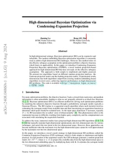 High dimensional Bayesian Optimization via Condensing-Expansion
  Projection