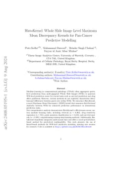HistoKernel: Whole Slide Image Level Maximum Mean Discrepancy Kernels
  for Pan-Cancer Predictive Modelling