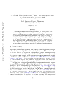 Censored and extreme losses: functional convergence and applications to
  tail goodness-of-fit