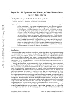 Layer-Specific Optimization: Sensitivity Based Convolution Layers Basis
  Search