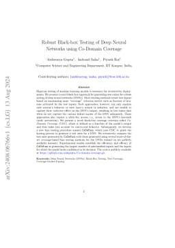 Robust Black-box Testing of Deep Neural Networks using Co-Domain
  Coverage