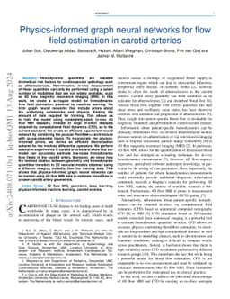 Physics-informed graph neural networks for flow field estimation in
  carotid arteries