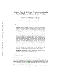 Surgical SAM 2: Real-time Segment Anything in Surgical Video by Efficient Frame Pruning