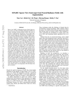 SSNeRF: Sparse View Semi-supervised Neural Radiance Fields with
  Augmentation