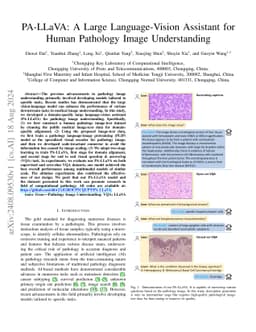 PA-LLaVA: A Large Language-Vision Assistant for Human Pathology Image
  Understanding