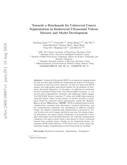 Towards a Benchmark for Colorectal Cancer Segmentation in Endorectal
  Ultrasound Videos: Dataset and Model Development