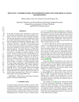 HMT-UNet: A hybird Mamba-Transformer Vision UNet for Medical Image
  Segmentation