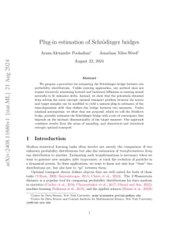 Plug-in estimation of Schrödinger bridges