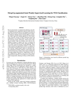 MergeUp-augmented Semi-Weakly Supervised Learning for WSI Classification