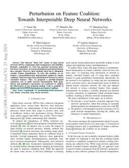 Perturbation on Feature Coalition: Towards Interpretable Deep Neural
  Networks