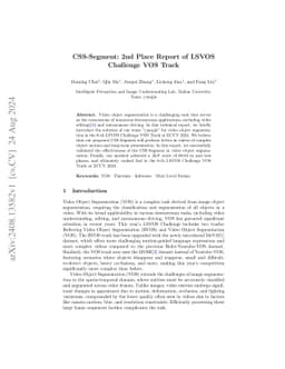 CSS-Segment: 2nd Place Report of LSVOS Challenge VOS Track