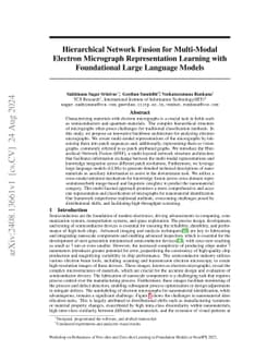 Hierarchical Network Fusion for Multi-Modal Electron Micrograph
  Representation Learning with Foundational Large Language Models