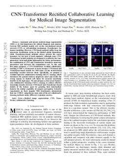 CNN-Transformer Rectified Collaborative Learning for Medical Image
  Segmentation