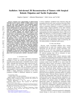 SeeBelow: Sub-dermal 3D Reconstruction of Tumors with Surgical Robotic
  Palpation and Tactile Exploration