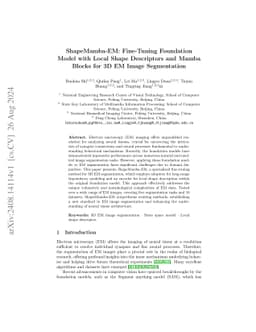 ShapeMamba-EM: Fine-Tuning Foundation Model with Local Shape Descriptors
  and Mamba Blocks for 3D EM Image Segmentation