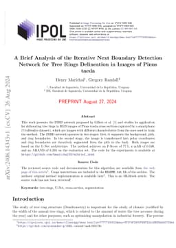 A Brief Analysis of the Iterative Next Boundary Detection Network for Tree Rings Delineation in Images of Pinus taeda