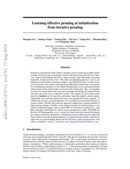 Learning effective pruning at initialization from iterative pruning