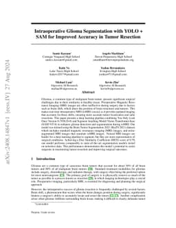 Intraoperative Glioma Segmentation with YOLO + SAM for Improved Accuracy
  in Tumor Resection