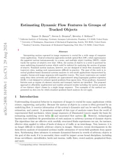 Estimating Dynamic Flow Features in Groups of Tracked Objects
