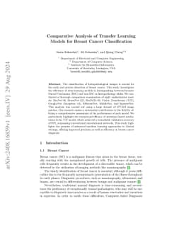 Evaluating Deep Learning Models for Breast Cancer Classification: A Comparative Study