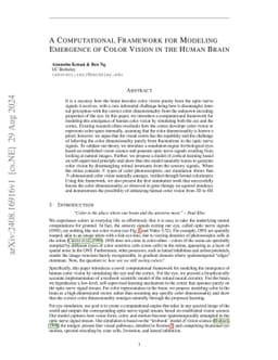 A Computational Framework for Modeling Emergence of Color Vision in the Human Brain