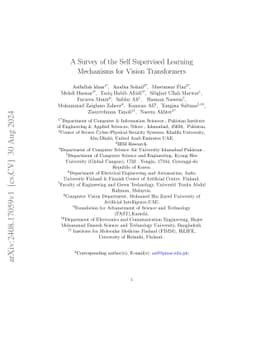A Survey of the Self Supervised Learning Mechanisms for Vision Transformers