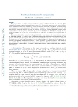 A nonlinear elasticity model in computer vision