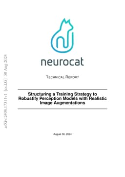 Structuring a Training Strategy to Robustify Perception Models with
  Realistic Image Augmentations