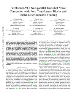 Pureformer-VC: Non-parallel One-Shot Voice Conversion with Pure
  Transformer Blocks and Triplet Discriminative Training