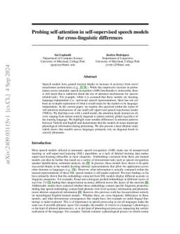 Probing self-attention in self-supervised speech models for
  cross-linguistic differences
