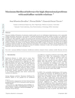 Maximum likelihood inference for high-dimensional problems with
  multiaffine variable relations