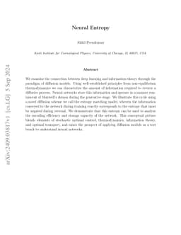 Neural Entropy