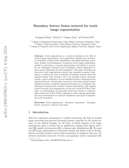 Boundary feature fusion network for tooth image segmentation
