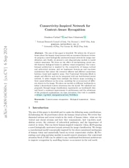 Connectivity-Inspired Network for Context-Aware Recognition