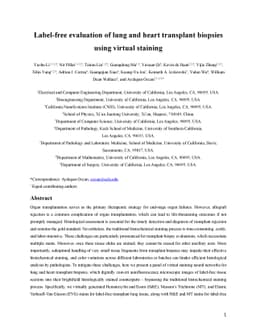Label-free evaluation of lung and heart transplant biopsies using
  virtual staining