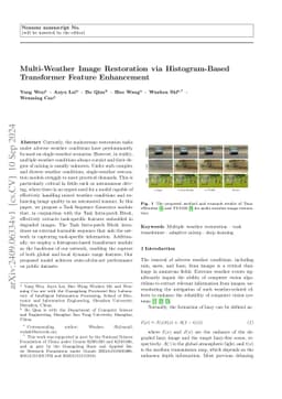 Multi-Weather Image Restoration via Histogram-Based Transformer Feature
  Enhancement