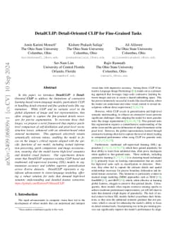 DetailCLIP: Detail-Oriented CLIP for Fine-Grained Tasks