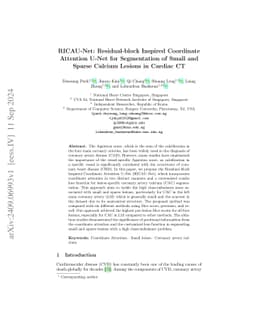 RICAU-Net: Residual-block Inspired Coordinate Attention U-Net for Segmentation of Small and Sparse Calcium Lesions in Cardiac CT