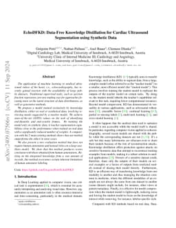 EchoDFKD: Data-Free Knowledge Distillation for Cardiac Ultrasound
  Segmentation using Synthetic Data