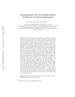 MedSegMamba: 3D CNN-Mamba Hybrid Architecture for Brain Segmentation