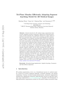 Tri-Plane Mamba: Efficiently Adapting Segment Anything Model for 3D
  Medical Images