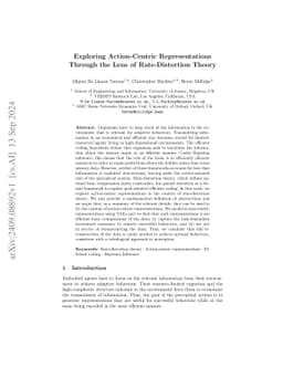 Exploring Action-Centric Representations Through the Lens of
  Rate-Distortion Theory