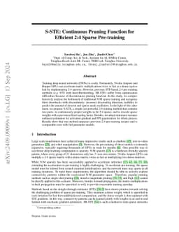 S-STE: Continuous Pruning Function for Efficient 2:4 Sparse Pre-training