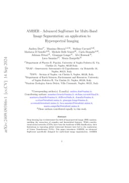 AMBER -- Advanced SegFormer for Multi-Band Image Segmentation: an application to Hyperspectral Imaging