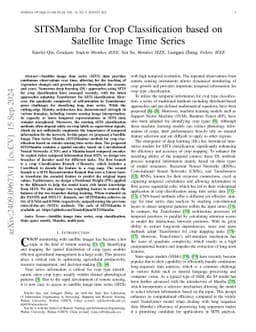 SITSMamba for Crop Classification based on Satellite Image Time Series